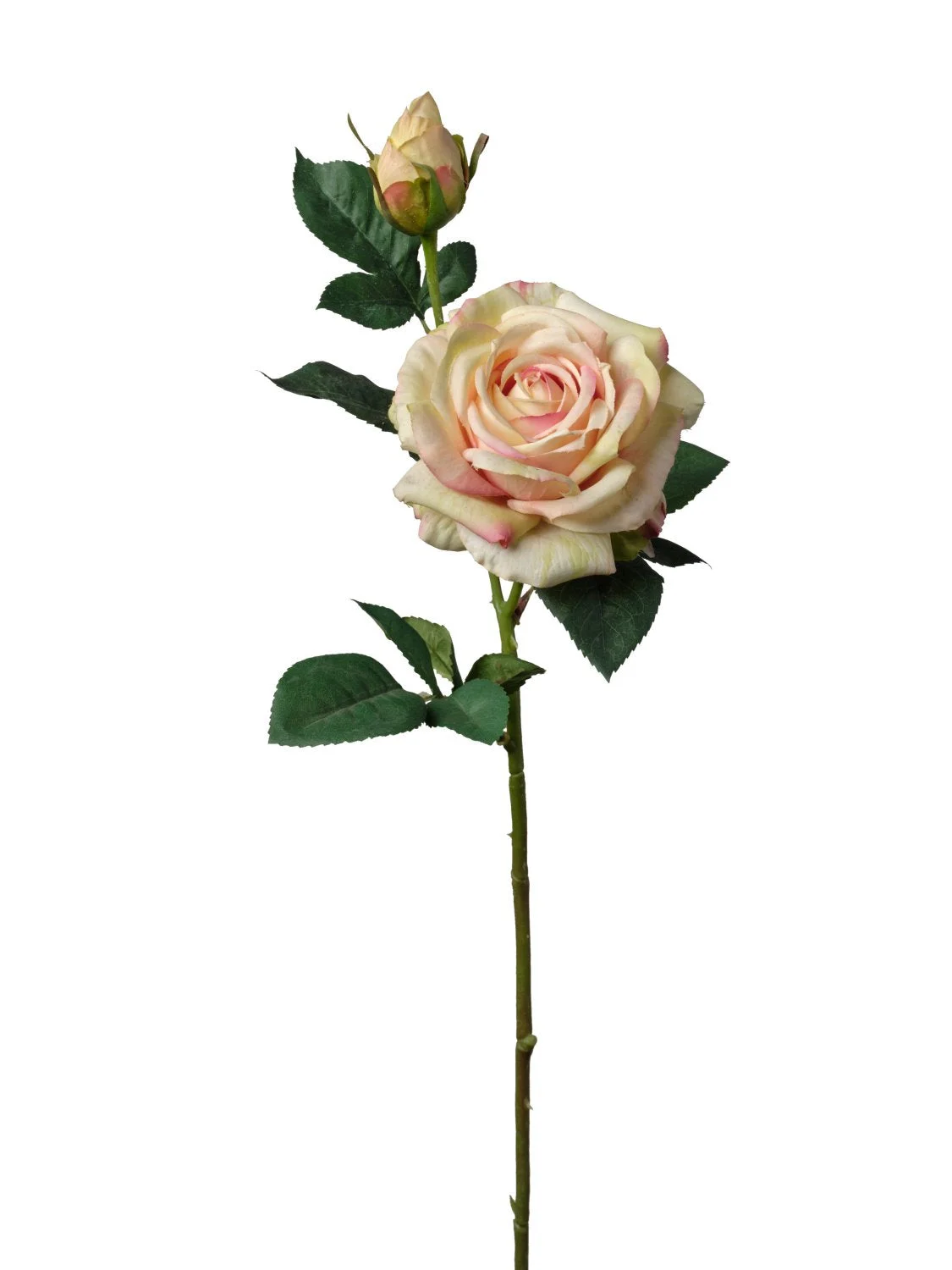 Conti Ramo Rosa H 63 Cm 2 Fiori Champagne