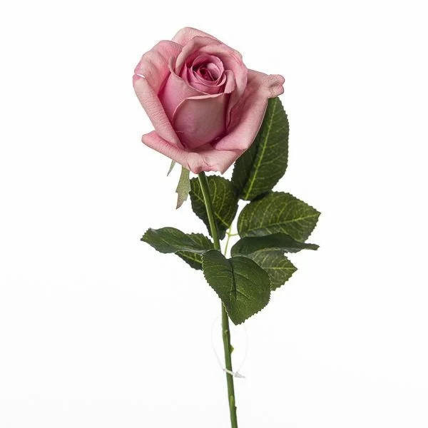 Conti Ramo Rosa H 65 Cm Pink