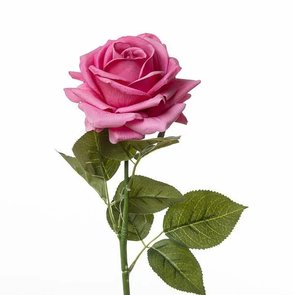 Conti Ramo Rosa H 75 Cm Pink
