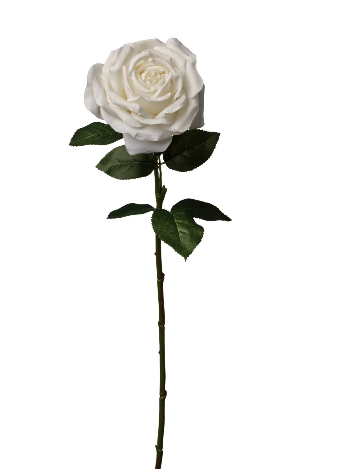 Conti Ramo Rosa Singola H 65 Cm White
