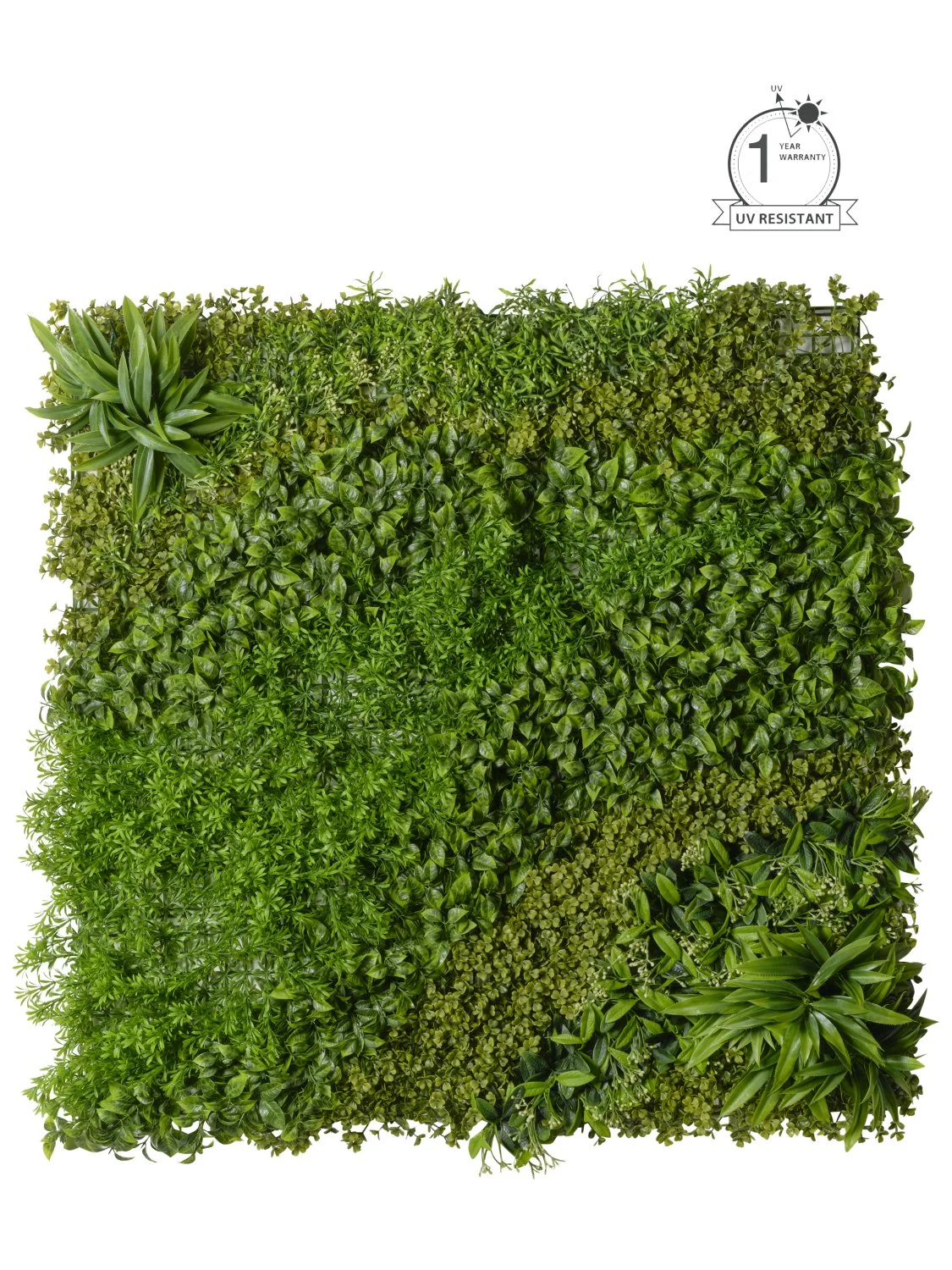 Conti Tappeto Erboso 100 x 100 Cm Verde