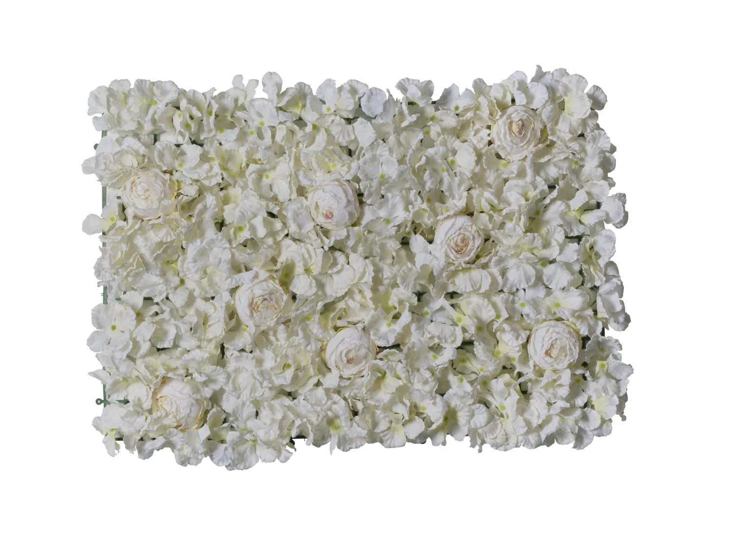 Conti Tappeto Rose Ortensie 40 x 60 Cm White Cream