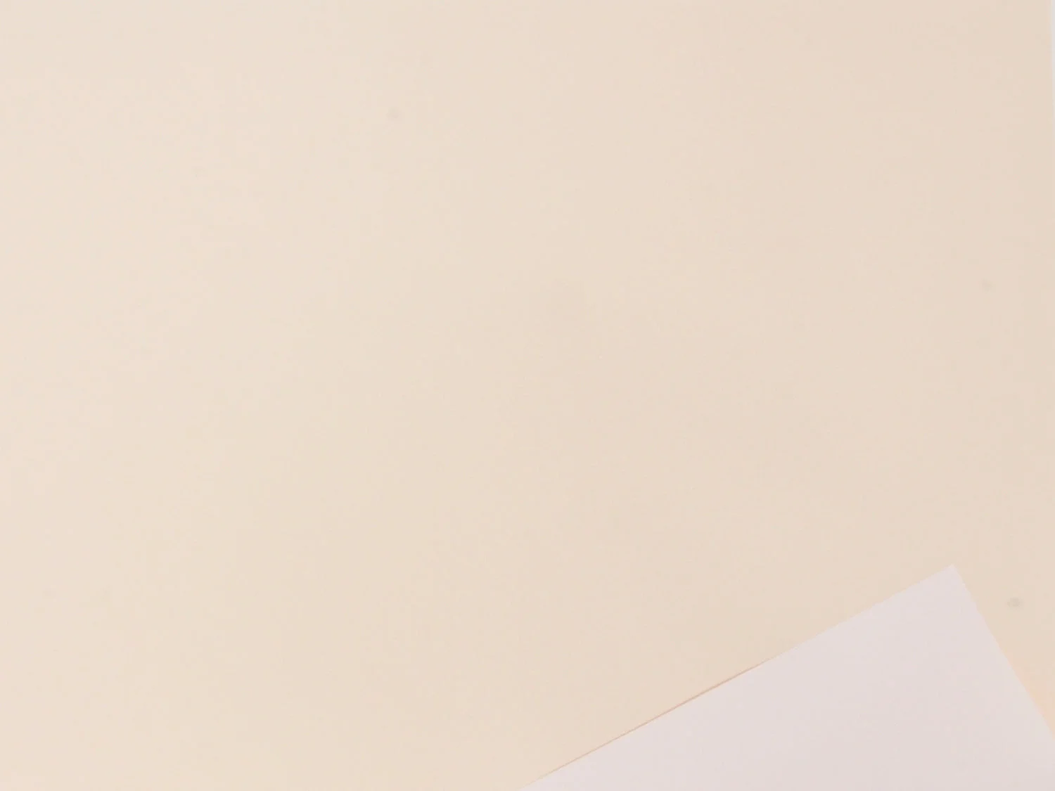 Dar D.O.O. Koper Bobina Paper Touch 1 x 20 Mt Bianco Panna