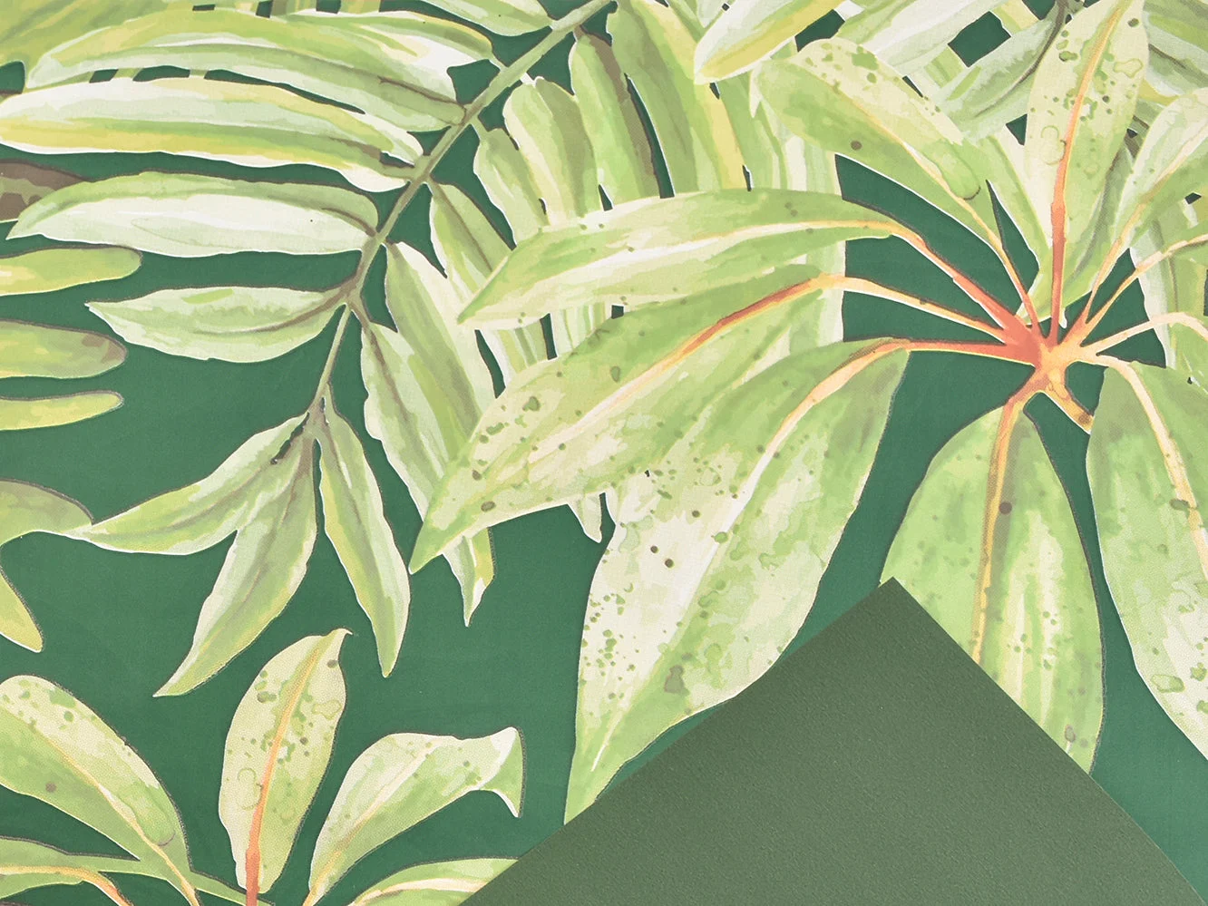 Dar D.O.O. Koper Bobina Tropical Garden 1 x 25 Mt Verde Scuro
