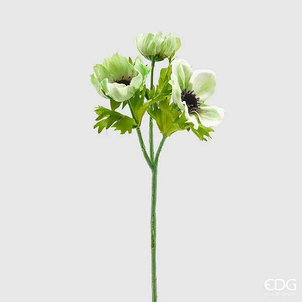 EDG Enzo De Gasperi Anemone Rex 3 Rami H 46 Cm Verde Chiaro