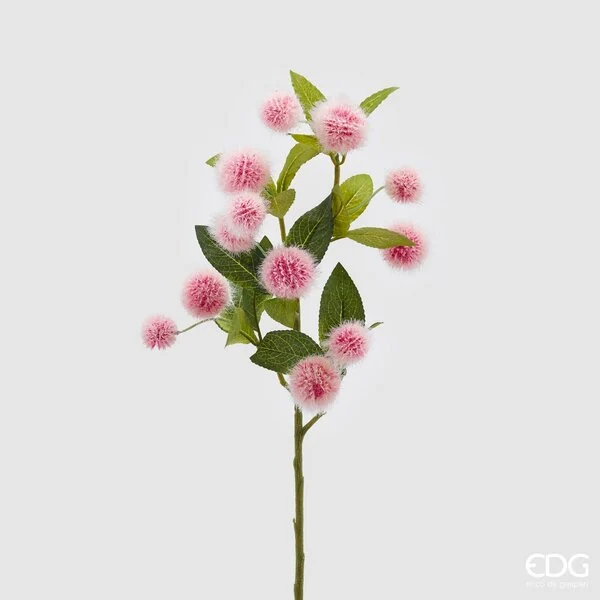 EDG Enzo De Gasperi Cefalantus Olis H 65 Cm Fucsia