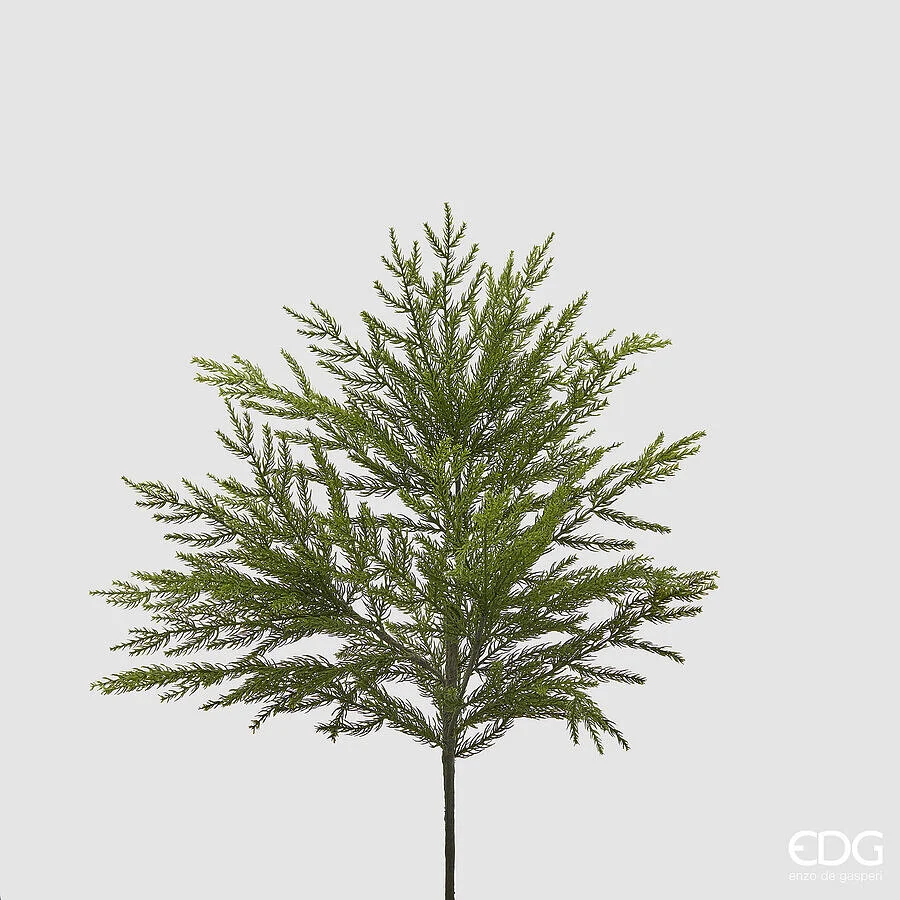 EDG Enzo De Gasperi Cryptomeria Cespuglia Natale L 66 Cm Verde