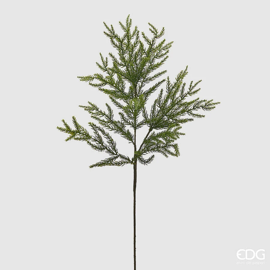 EDG Enzo De Gasperi Cryptomeria Ramo Natale L 84 Cm Verde