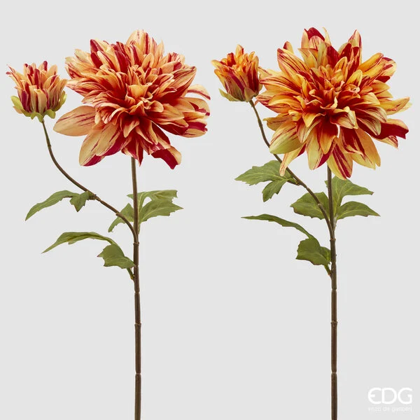 EDG Enzo De Gasperi Dalia Rex H 70 Cm Giallo Arancione 1 Pz