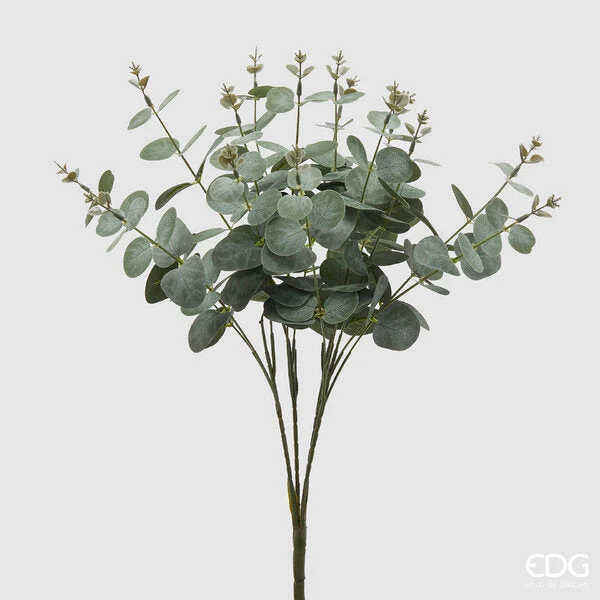 EDG Enzo De Gasperi Eucalipto Cespuglio H 50 Cm 16 Rami Colore Verde