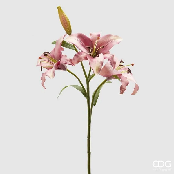EDG Enzo De Gasperi Giglio Rex 3 Rami H 105 Cm Mauve