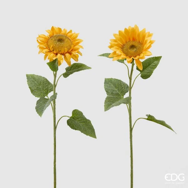 EDG Enzo De Gasperi Girasole Rex H 60 Cm Giallo