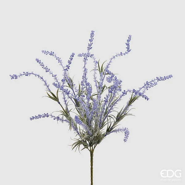EDG Enzo De Gasperi Lavanda Chic Cespuglio H 40 Cm 7 Rami Blue