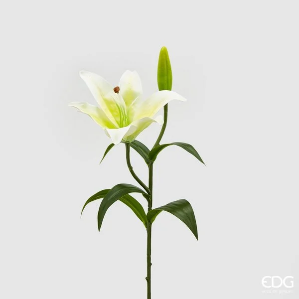 EDG Enzo De Gasperi Lilium Chic Ramo H 36 Cm Bianco Giallo