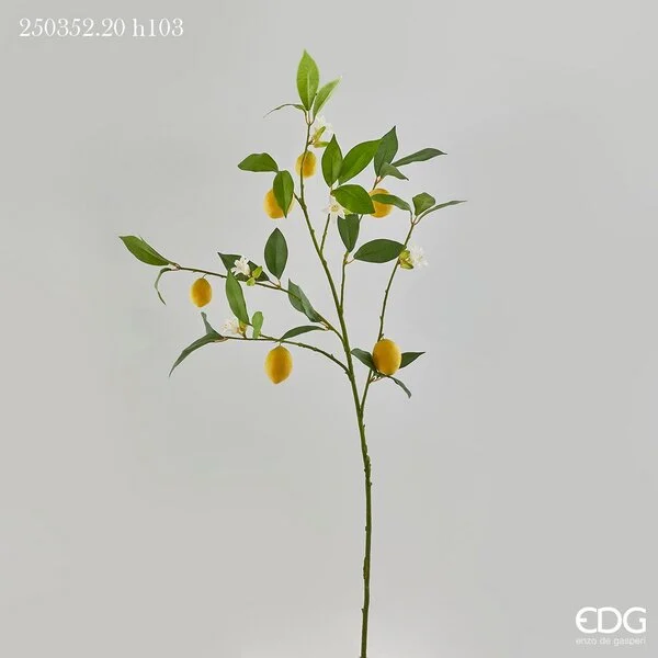 EDG Enzo De Gasperi Limone Rex Ramo H 103 Cm Colore Giallo e Verde