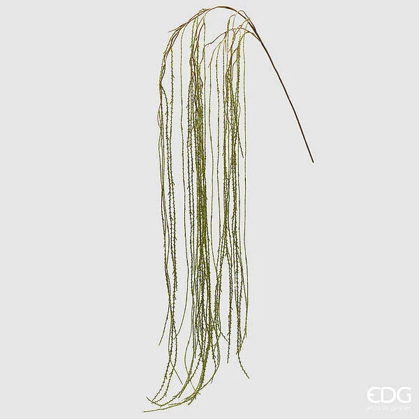 EDG Enzo De Gasperi Lycopodium Ramo L 186 Cm Colore Verde