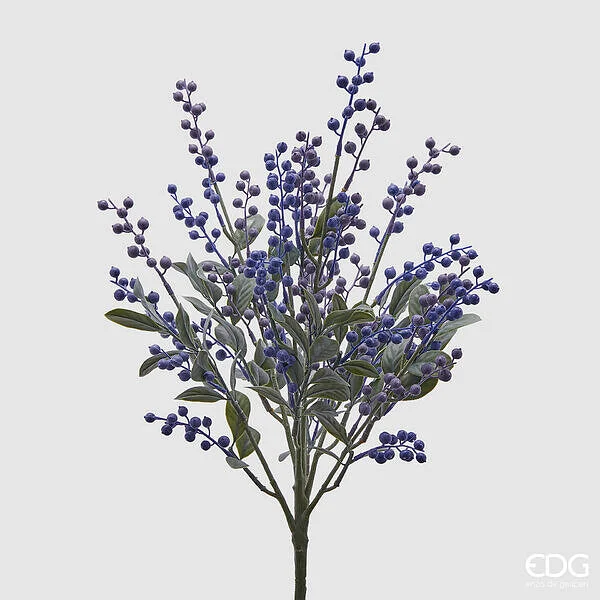 EDG Enzo De Gasperi Mirtillo Cespuglio H 48 Cm Colore Violet