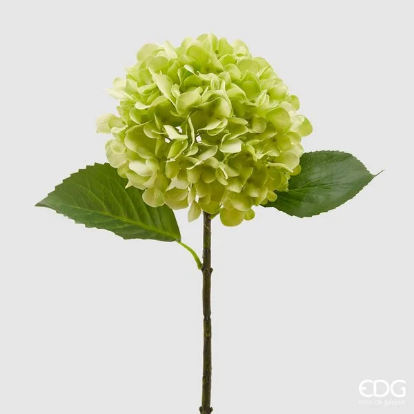 EDG Enzo De Gasperi Ortensia Olis Ramo H 48 Cm Verde Chiaro