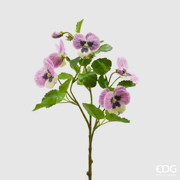 EDG Enzo De Gasperi Panse Bell 3 Rami H 45 Cm Rosa Crema