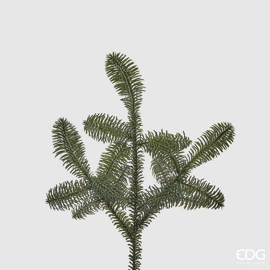 EDG Enzo De Gasperi Albero di Natale Pino Nobilis West Ramo H 52 Cm Green 1 Pz