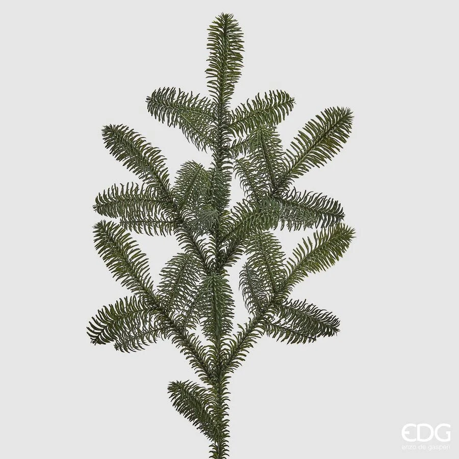 EDG Enzo De Gasperi Decorazione Natale Pino Nobilis West Ramo H 73 Cm Green 1 Pz