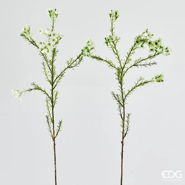 EDG Enzo De Gasperi Piombaggine Ramo H 67 Cm Bianco 1 Pz