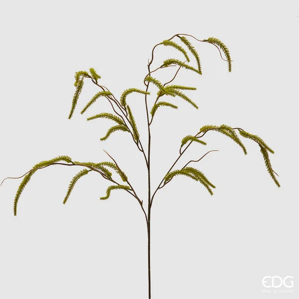 EDG Enzo De Gasperi Salice Ramo L 114 Cm Verde