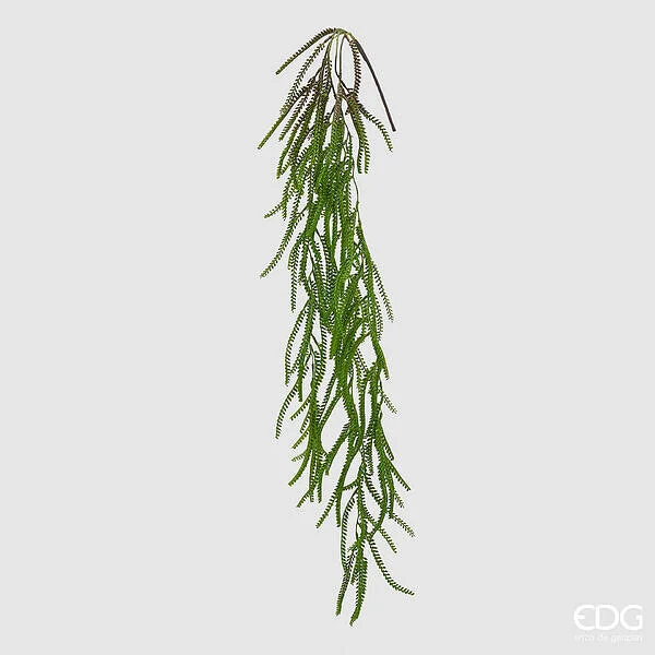 EDG Enzo De Gasperi Spiga Cadente H 120 Cm Colore Verde