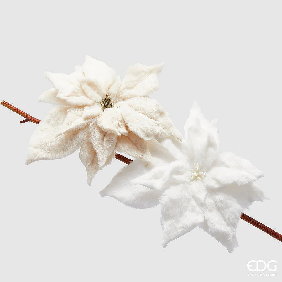 EDG Enzo De Gasperi Stella Natale Furry Clip D 25 Cm 2 Fiori Avorio
