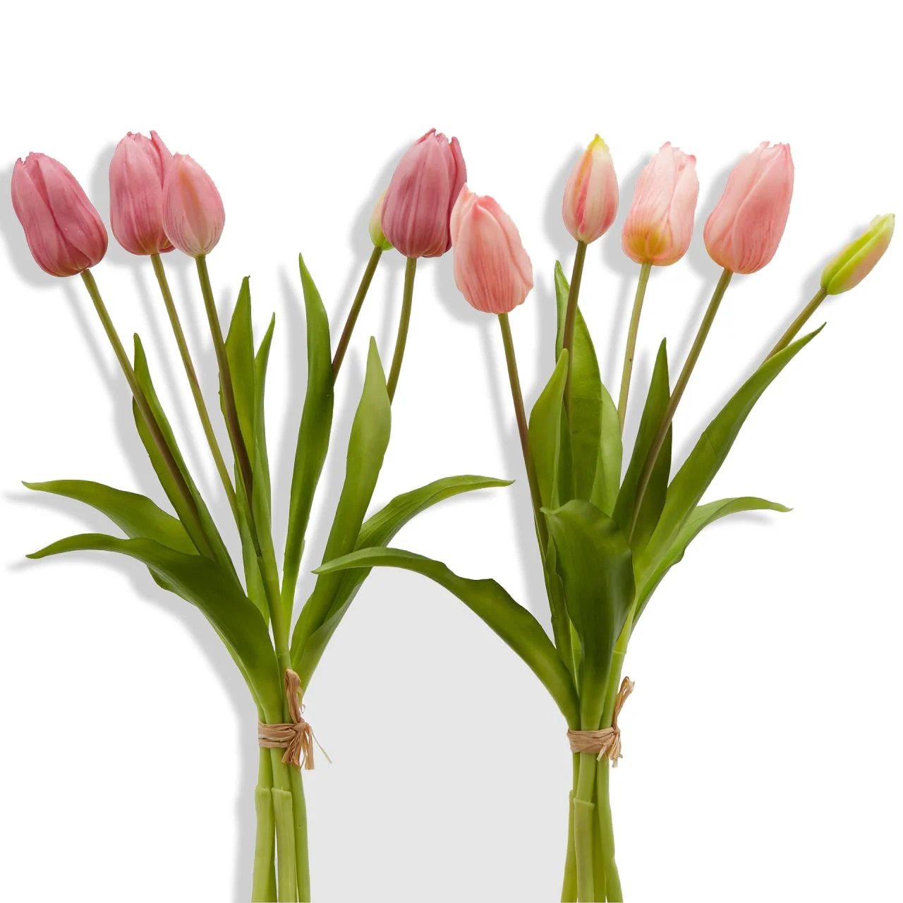 EDG Enzo De Gasperi Bouquet di 5 Tulipani Olis Ass. H 40 Cm Mauve 1 Pz