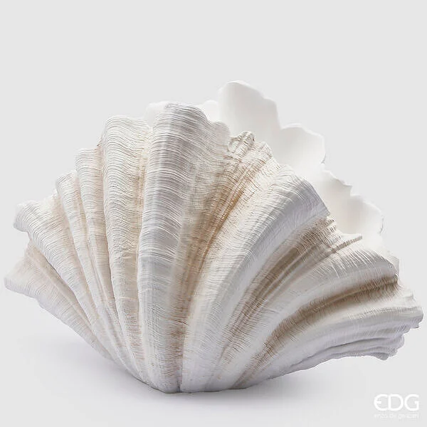 EDG Enzo De Gasperi Vaso Conchiglia H 36 Cm L 57 Cm L 31 Cm Colore Bianco