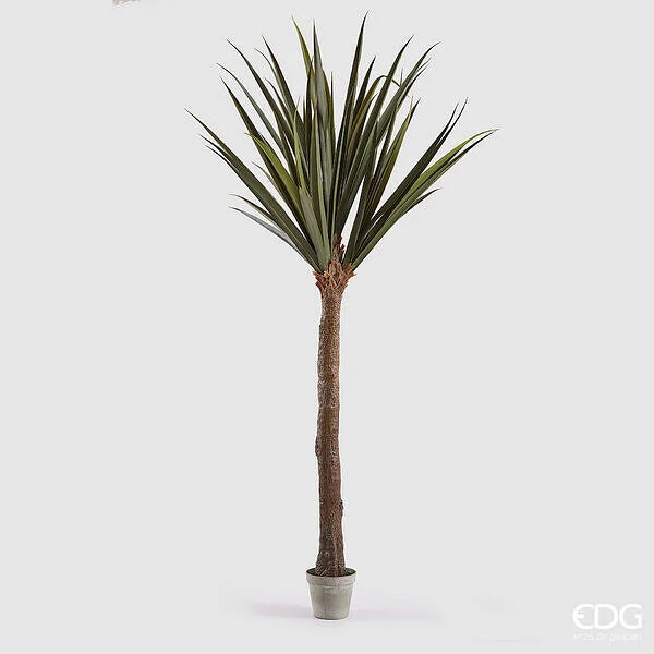 EDG Enzo De Gasperi Yucca con Vaso H 254 Cm Colore Verde