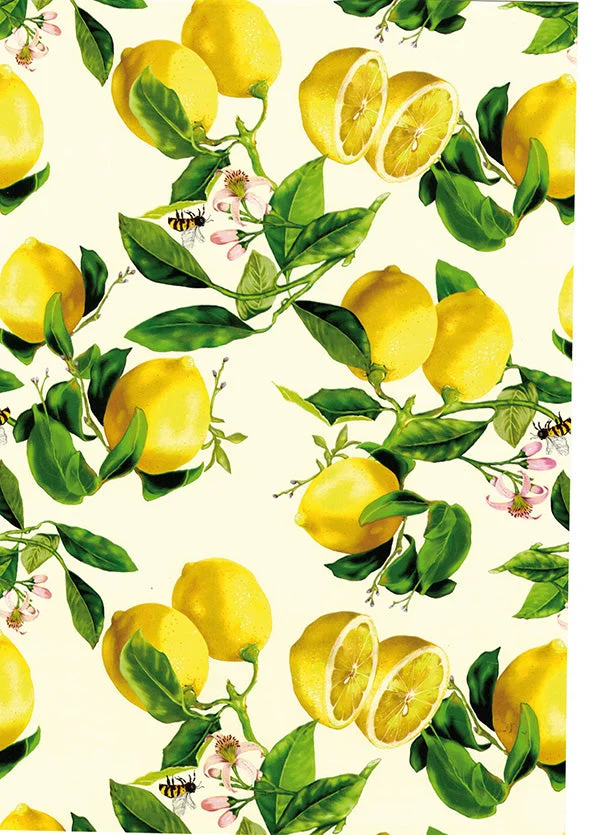 Saul Sadoch Carta Regalo Raso Rotolo H 70 Cm L 25 Mt Limoni