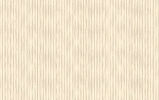 Saul Sadoch Carta Regalo Ecocolor Rotolo H 70 Cm L 25 Mt Beige