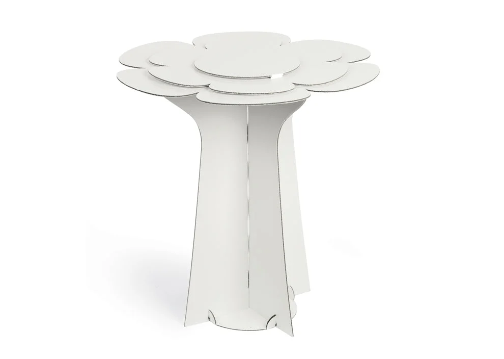 Scotton Alzata Fiore 600 x 580 Mm Cartoncino Bianco