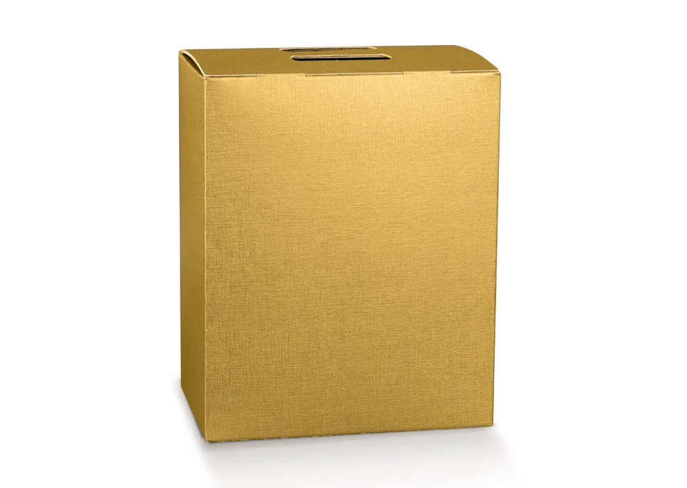 Scotton Cubotto Natale Portapanettone e Bottiglia 280 x 200 x 350 Mm Fibra Oro 1 Pz