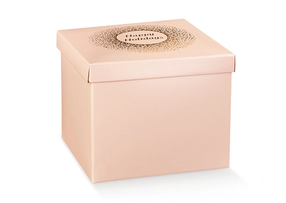 Scotton Scatola con Coperchio 300 x 300 x 240 Mm Spot Cipria