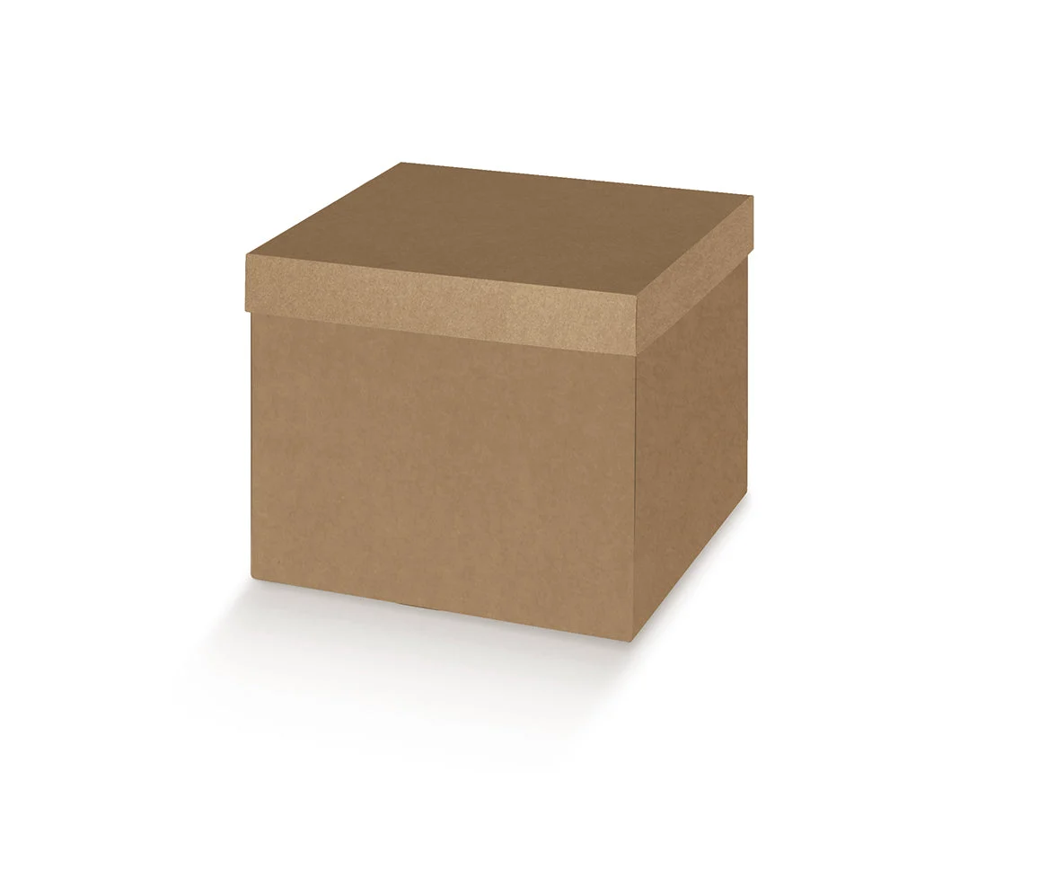 Scotton Scatola Natale Fondo Coperchio 400 x 285 x 240 Mm 1 Pz