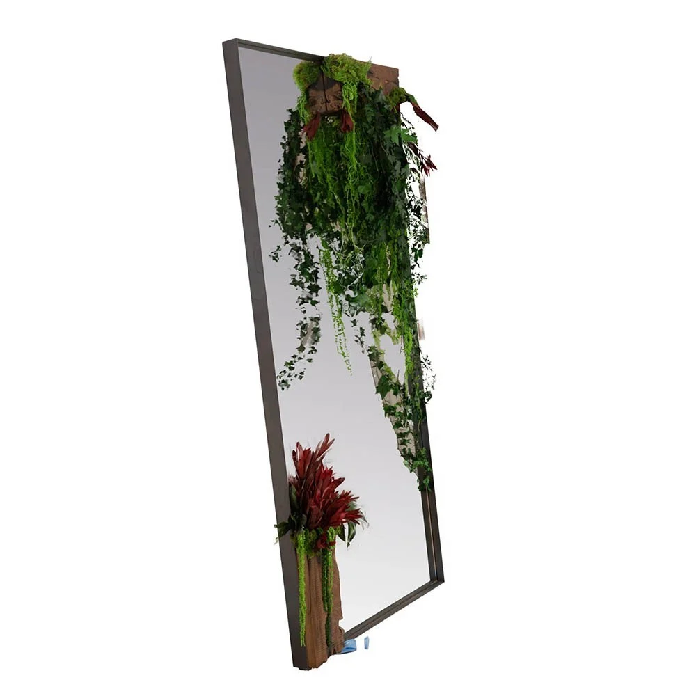 Linfadecor Incanto specchio con piante stabilizzate