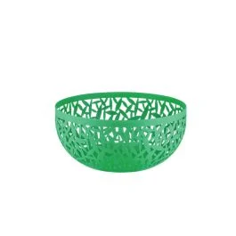 CACTUS FRUTTIERA CM 21 VERDE