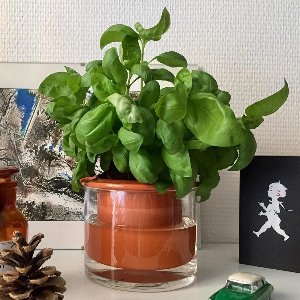 Pentola con riserva d'acqua Wet Pot XS