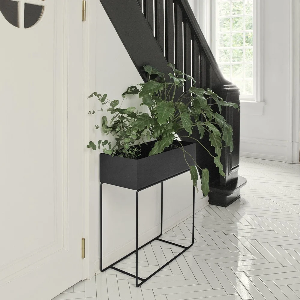 Scatola per piante nera plant
