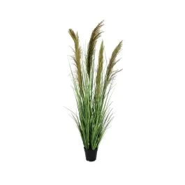 PAMPAS PIANTA CARINE H 145 CM