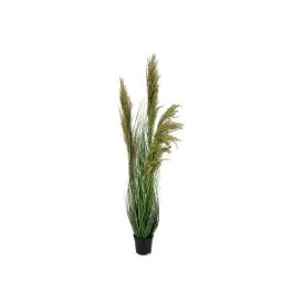 PAMPAS PIANTA CARINE H 96,5 CM