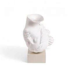 AMOR VOLAT VASO IN PORCELLANA