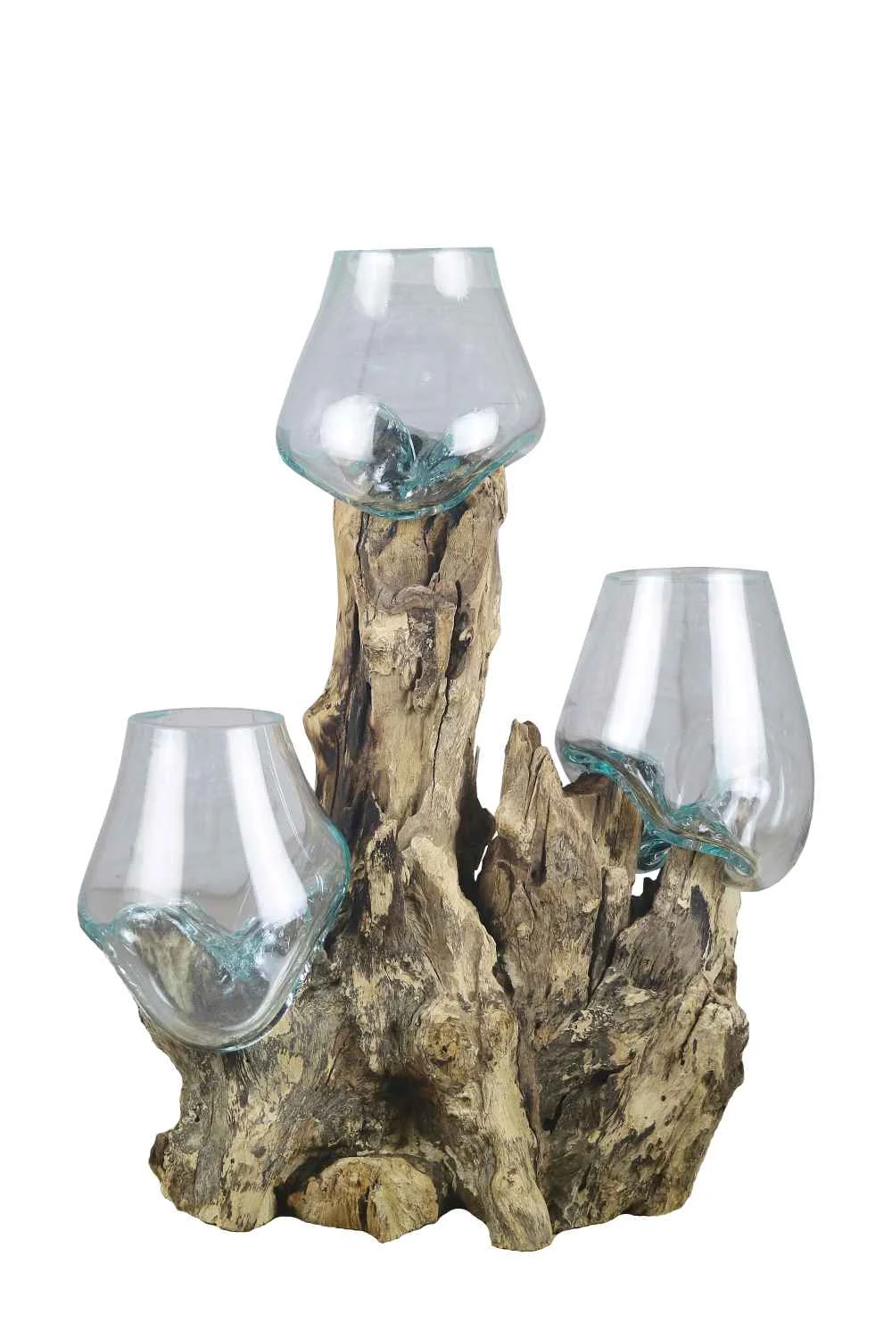 Ad Trend Radice Legno Naturale con 3 Vasi H 35 x 30 x 20 Cm Celeste