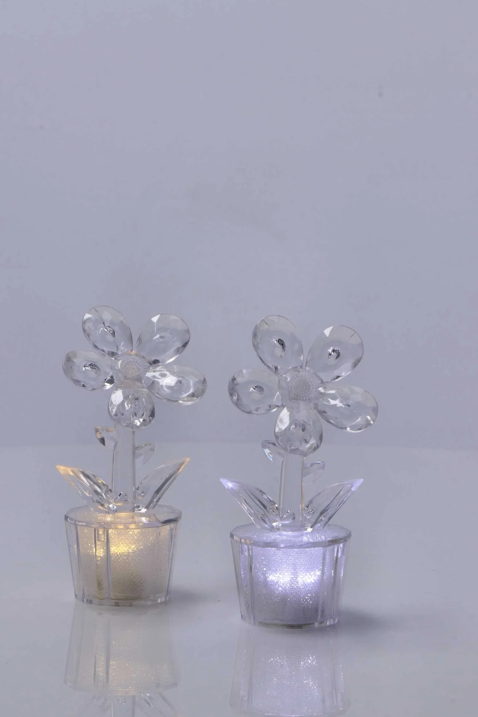 Ad Trend MiniLampada Fiore da Tavola Ass. D 6 Cm H 12 Cm Trasparente 1 Pz