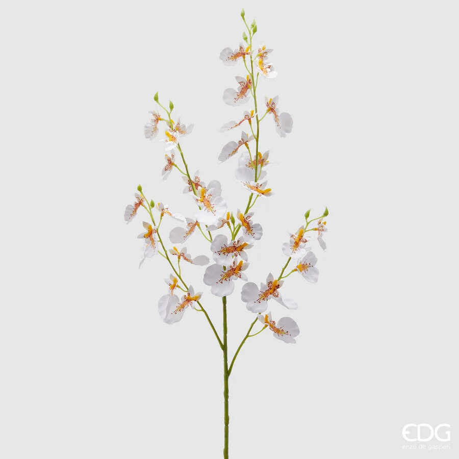 EDG Enzo De Gasperi Orchidea Oncidium Ramo x4 Artificiale H 80 Cm White Yellow