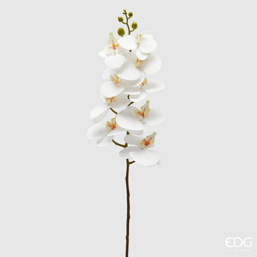 EDG Enzo De Gasperi Orchidea Phalaenopsis Ramo Artificiale H 94 Cm White