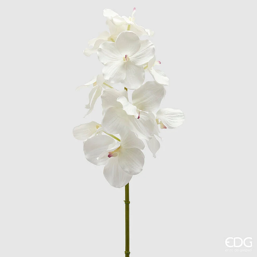 EDG Enzo De Gasperi Orchidea Vanda Ramo x9 Artificiale H 95 Cm White